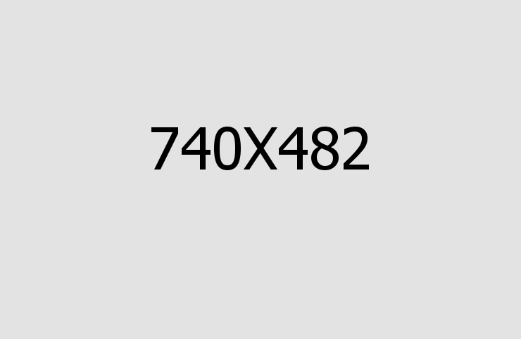 Federal and State Tax Filing