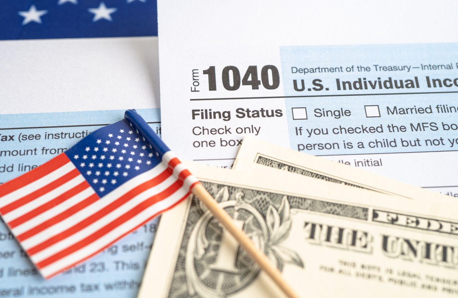 Federal and State Tax Filing